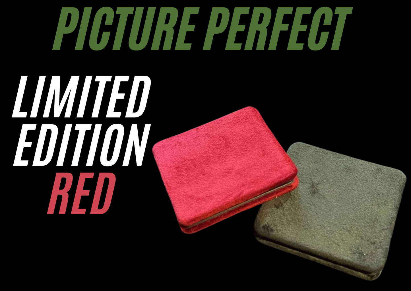 Picture Perfect by Wayne Goodman