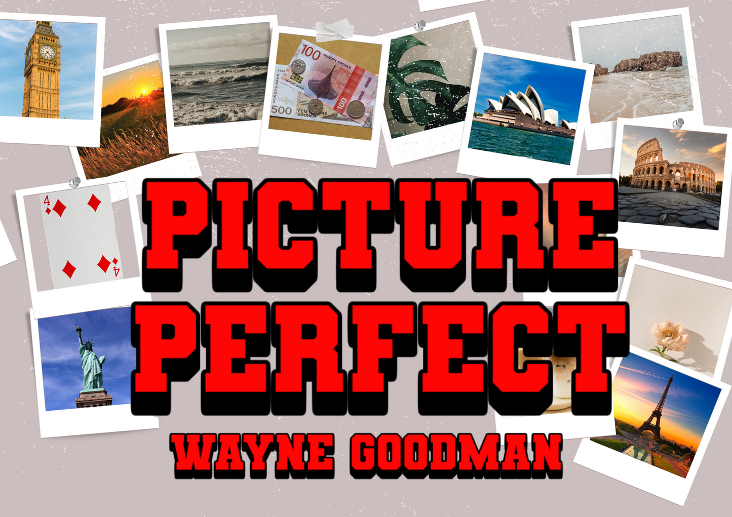 Picture Perfect by Wayne Goodman